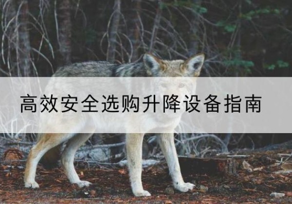 汪清升降货梯厂家推荐-*安全选购升降设备指南