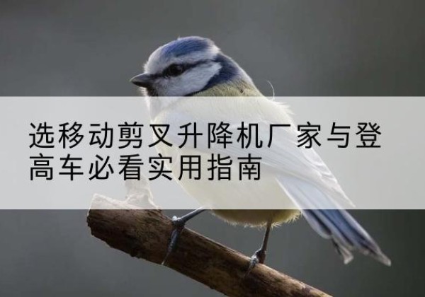 汪清电动升降机厂家-选移动剪叉升降机厂家与登高车必看实用指南