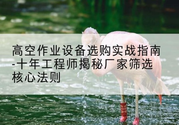 汪清剪叉式升降机厂家-高空作业设备选购实战指南-十年工程师揭秘厂家筛选核心法则
